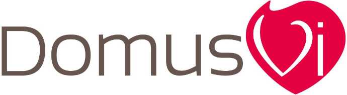 domus vi logo