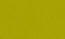 Ginkgo